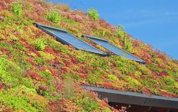 All Saints South Elmham living roof systems