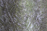 All Saints South Elmham fibreglass roof work